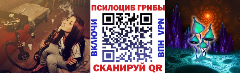 как найти   Верхний Тагил  Псилоцибиновые грибы Cubensis 